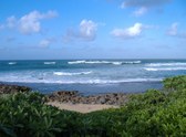 Enlarge photo 59