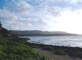 Enlarge photo 61