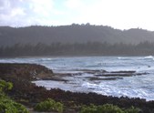 Enlarge photo 62