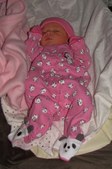 Enlarge photo 23