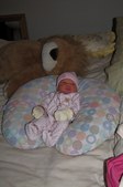 Enlarge photo 11