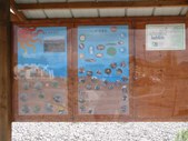 Enlarge photo 35