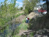 Enlarge photo 21