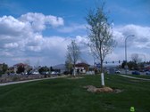Enlarge photo 25