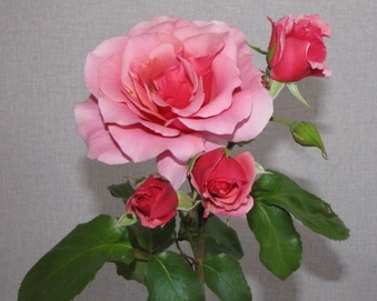 Enlarge photo 12