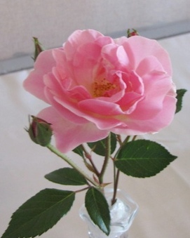 Enlarge photo 17
