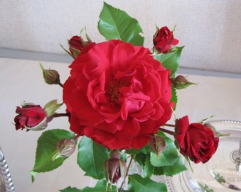 Enlarge photo 19