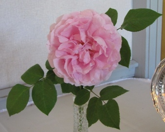 Enlarge photo 22