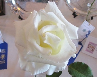 Enlarge photo 3