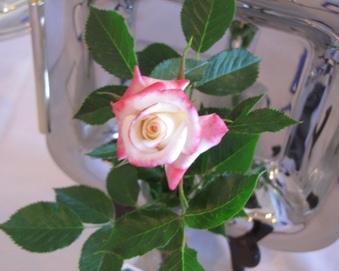 Enlarge photo 7