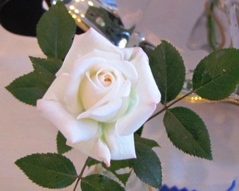 Enlarge photo 8