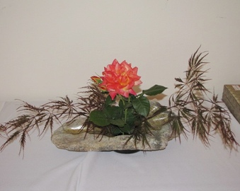 Enlarge photo 46