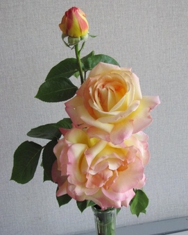 Enlarge photo 31
