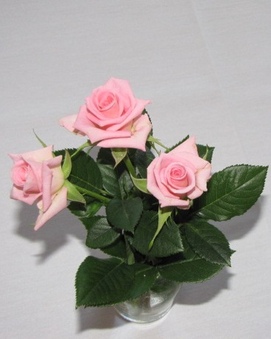 Enlarge photo 38