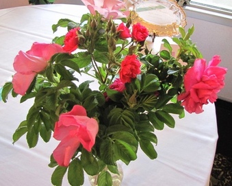 Enlarge photo 39