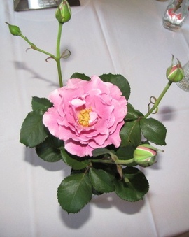 Enlarge photo 40