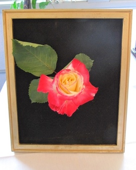 Enlarge photo 41