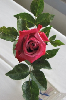 Enlarge photo 10