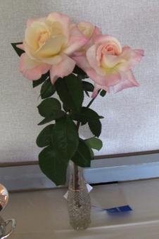Enlarge photo 11