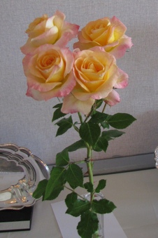Enlarge photo 16