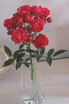 Enlarge photo 17
