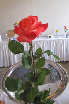 Enlarge photo 58