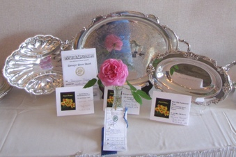 Enlarge photo 22