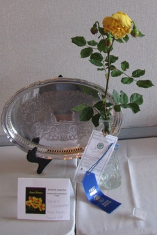 Enlarge photo 24