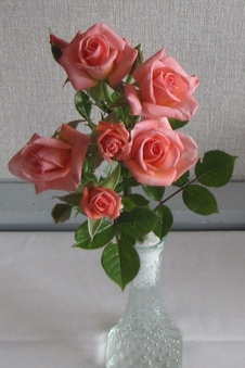 Enlarge photo 27