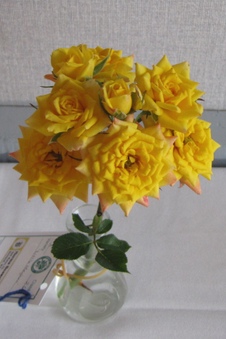 Enlarge photo 26