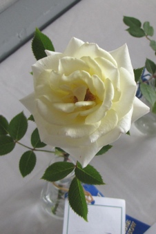Enlarge photo 28