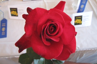 Enlarge photo 2