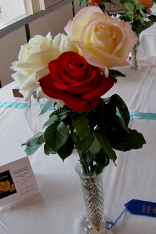 Enlarge photo 35