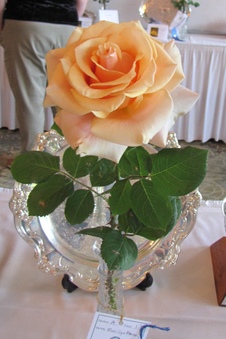 Enlarge photo 3