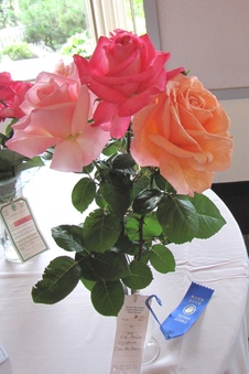 Enlarge photo 38