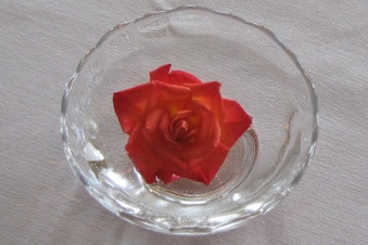 Enlarge photo 40