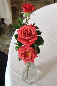Enlarge photo 43