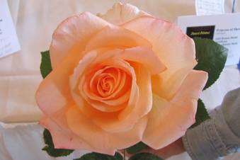 Enlarge photo 4