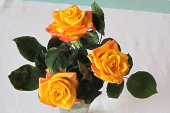 Enlarge photo 45