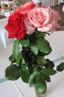 Enlarge photo 46