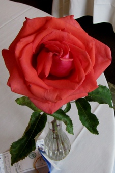 Enlarge photo 47