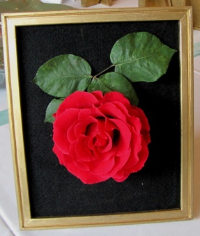 Enlarge photo 48