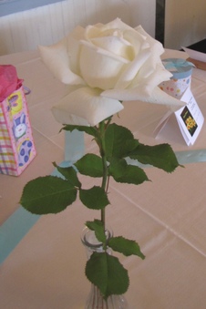 Enlarge photo 31