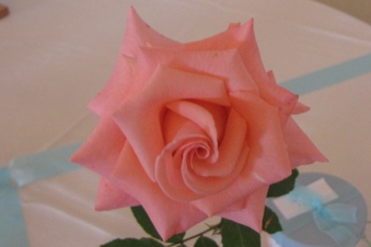 Enlarge photo 32