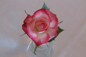 Enlarge photo 33