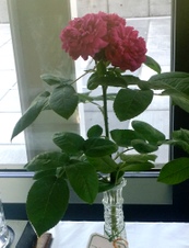 Enlarge photo 15