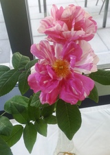 Enlarge photo 20
