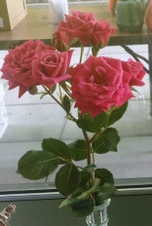 Enlarge photo 23