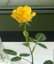 Enlarge photo 25