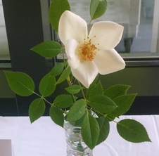 Enlarge photo 26